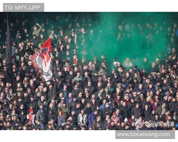 足球明星与球迷激烈冲突现场视频曝光引发热议与讨论