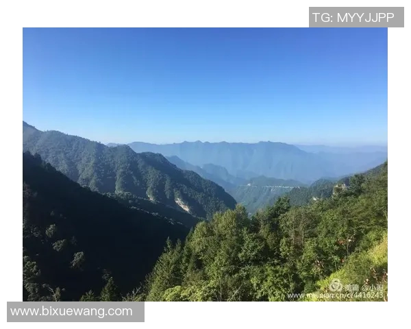 足球明星倾情推荐的书籍探索与阅读之旅