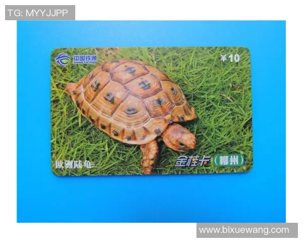 足球明星卡片开箱揭秘如何通过收藏赚取丰厚利润与乐趣