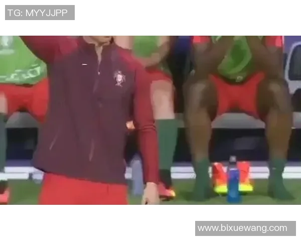 足球明星的双性恋情缘探索与激情碰撞的小说推荐