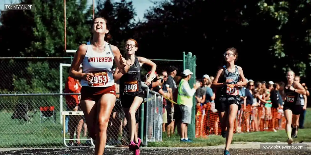 专业周边，品质之选！🎾